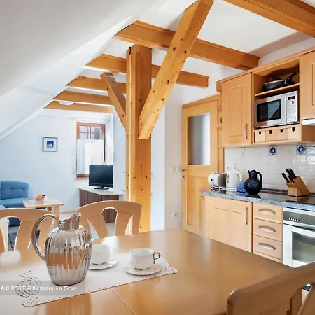 Apartmaji Potepuh