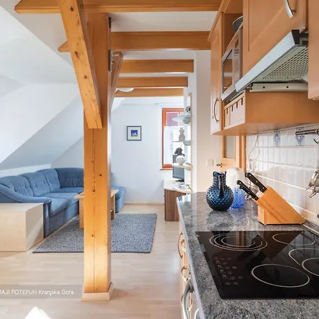 Apartmaji Potepuh *