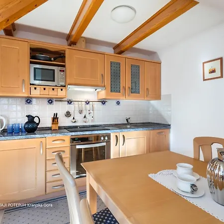 Apartmaji Potepuh