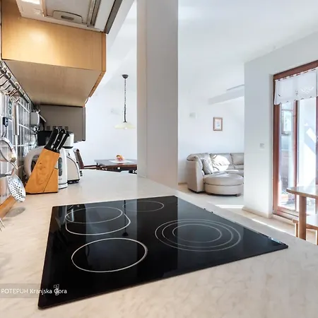 Apartmaji Potepuh Lägenhet
