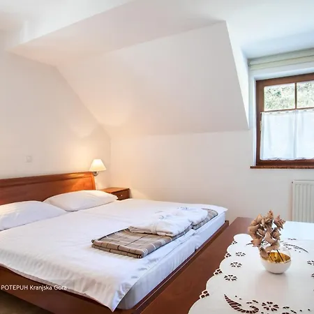 Apartmaji Potepuh *