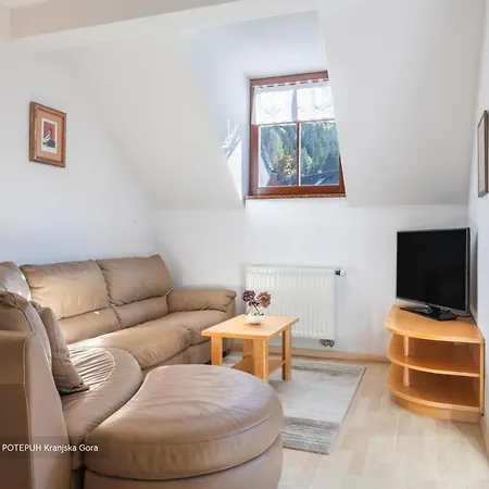 Lägenhet Apartmaji Potepuh *