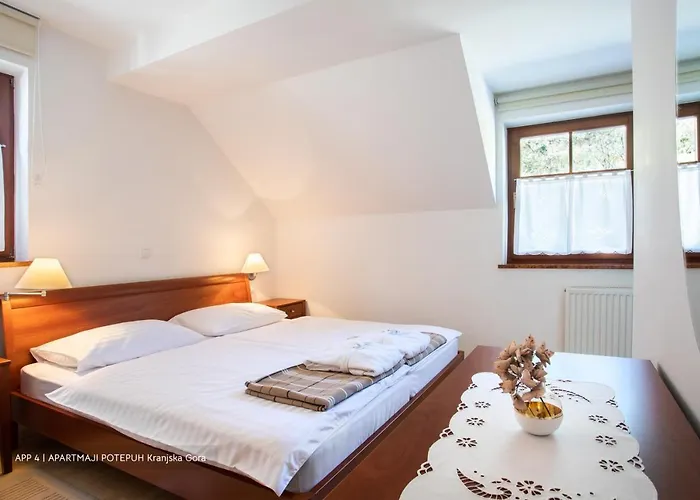 Apartmaji Potepuh *